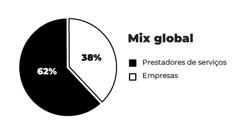 Gráfico circular em preto e branco mostrando a concentração de provedores de serviços versus empresas. 